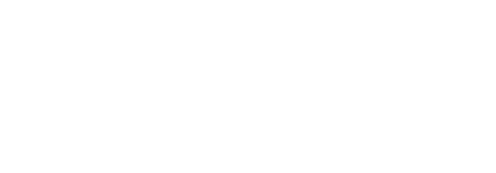 wl-txt-transparent-white WickedLasers Logo